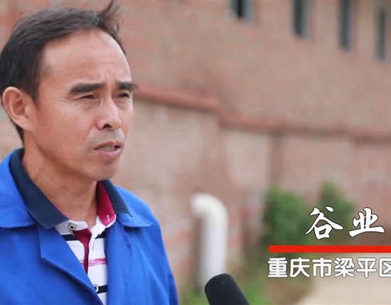 養殖牛人谷業素案例
